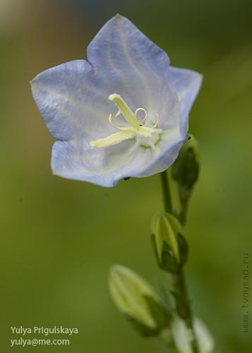 IMG_2029-smc87b3b344ebd6fa9.png