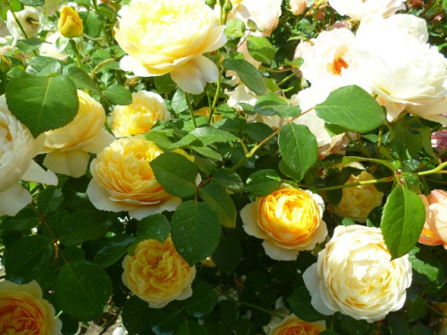 2f83171451a2